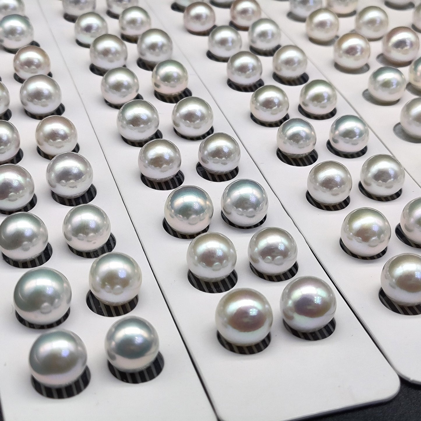 cultured edison pearls in pair wholesale