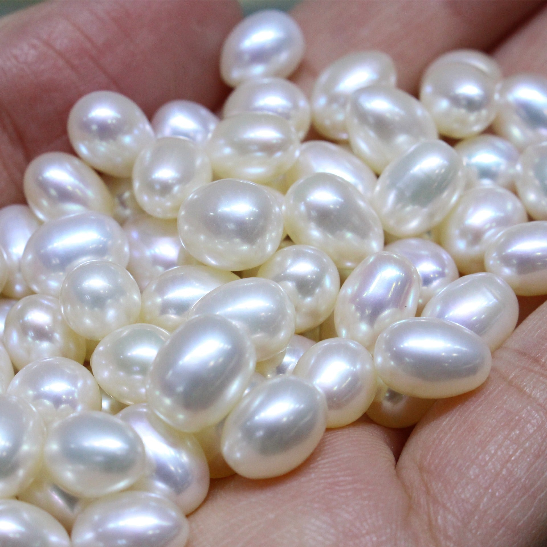 White color drop shape freshwater loose pearls